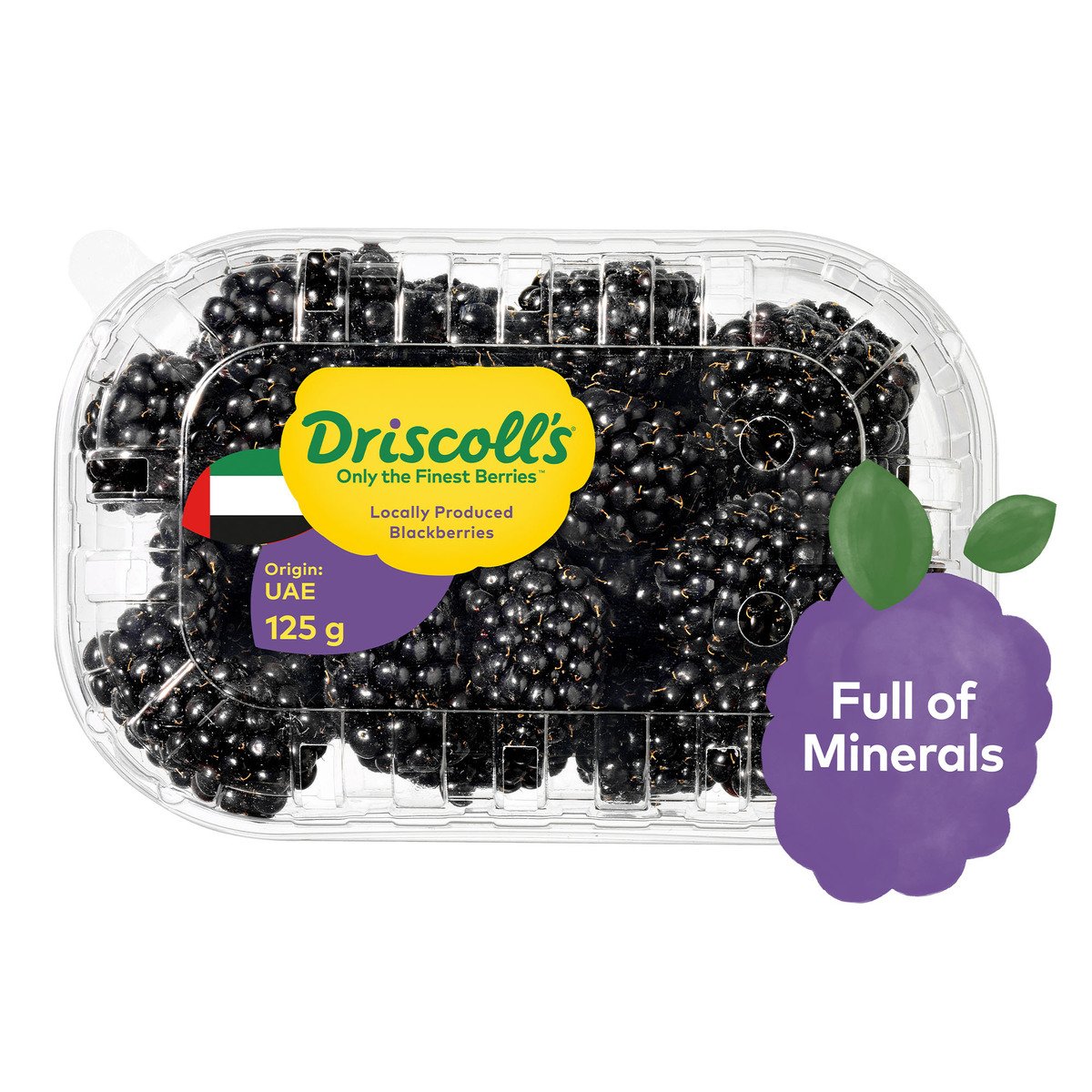 Driscolls Blackberry UAE 125 g