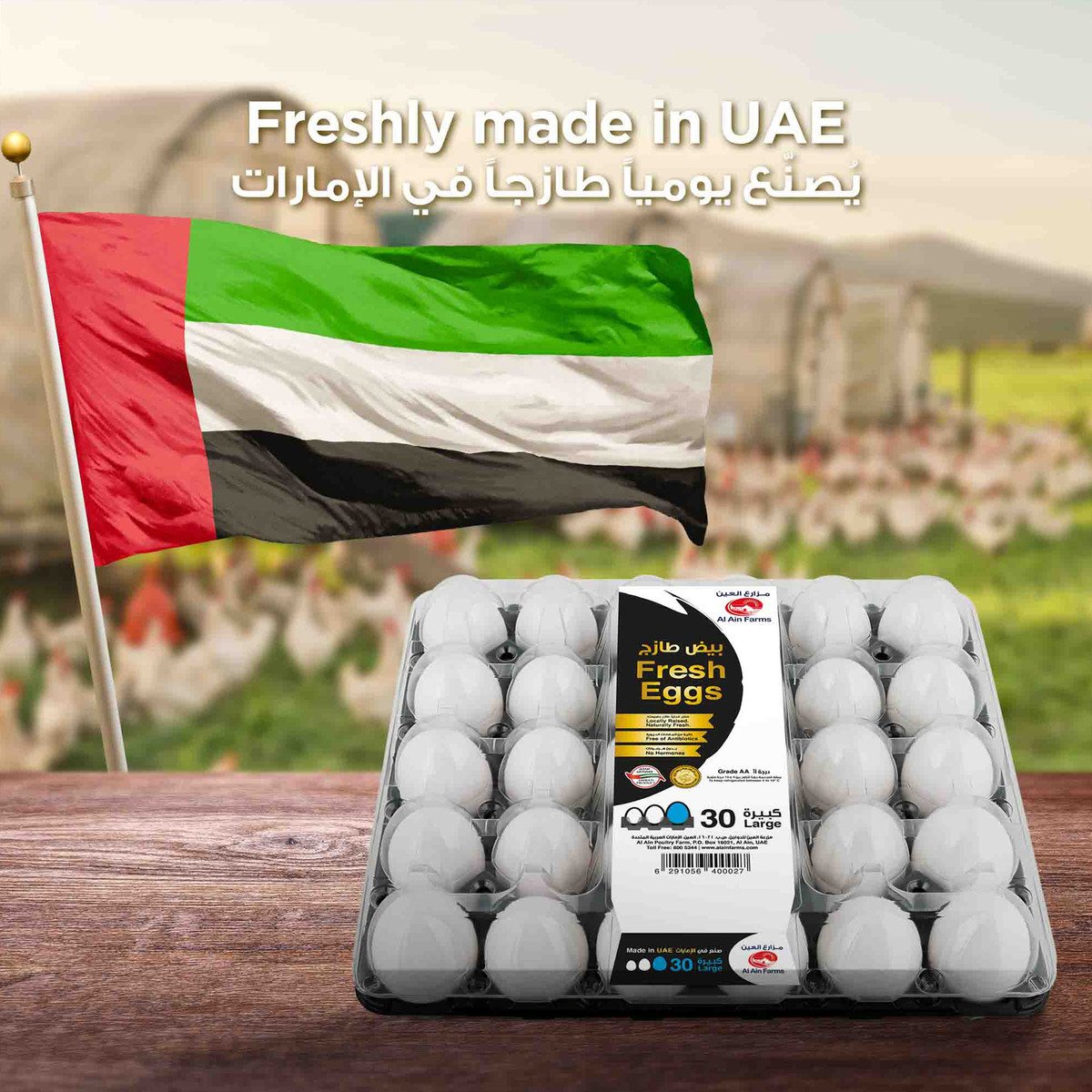Al Ain White Eggs Large 30 pcs