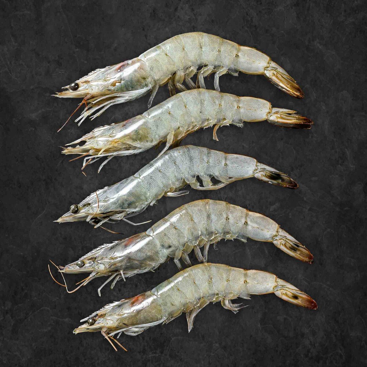Omani Defrosted Shrimps 41/50 500 g