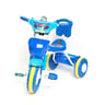Skid Fusion Tricycle SF-905 Assorted Color