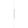 Apple Earpod Lightening Cable MMTN2