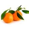 Citrus Mandarin with Leaves 1kg