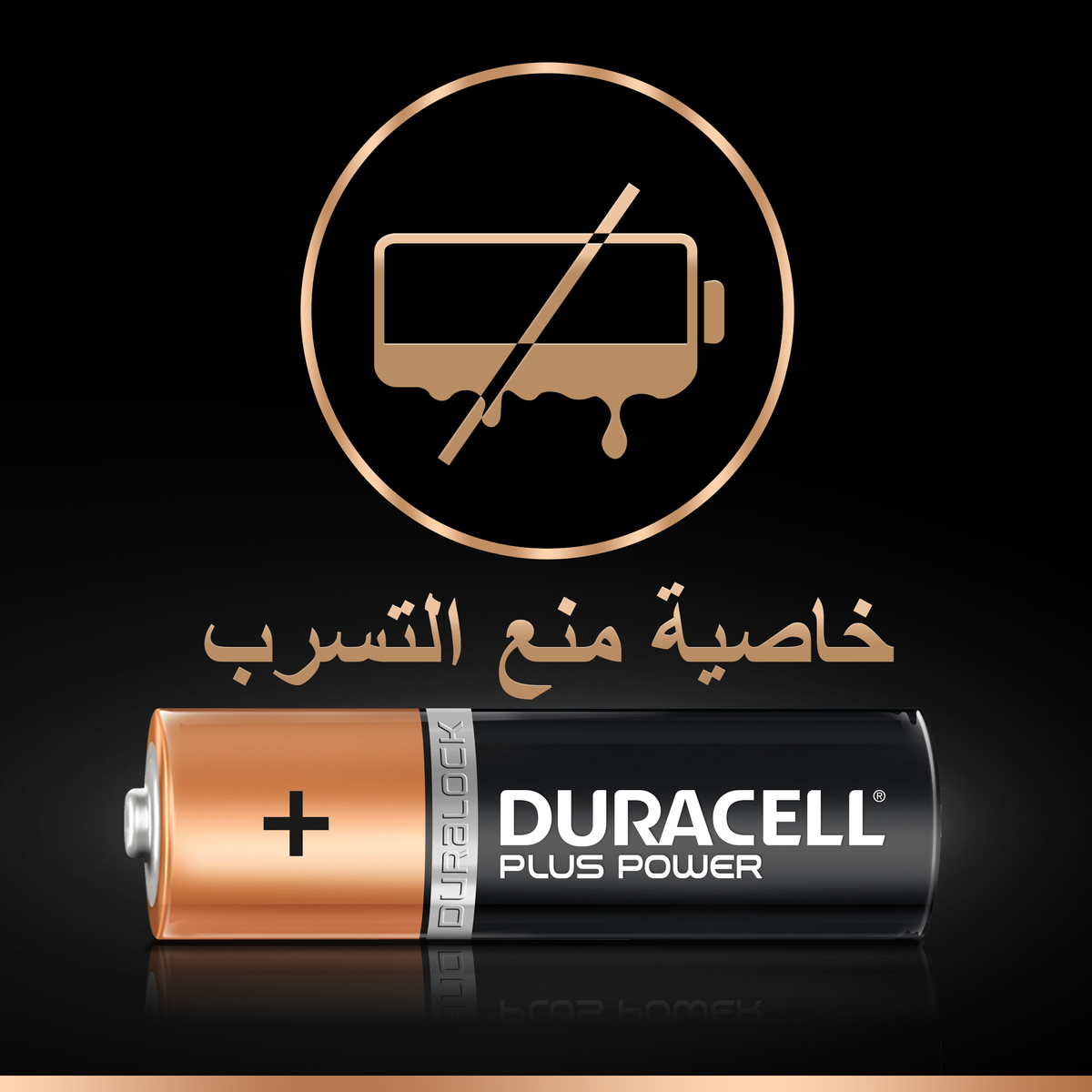 Duracell Plus Power Type AA Alkaline Batteries 8pcs