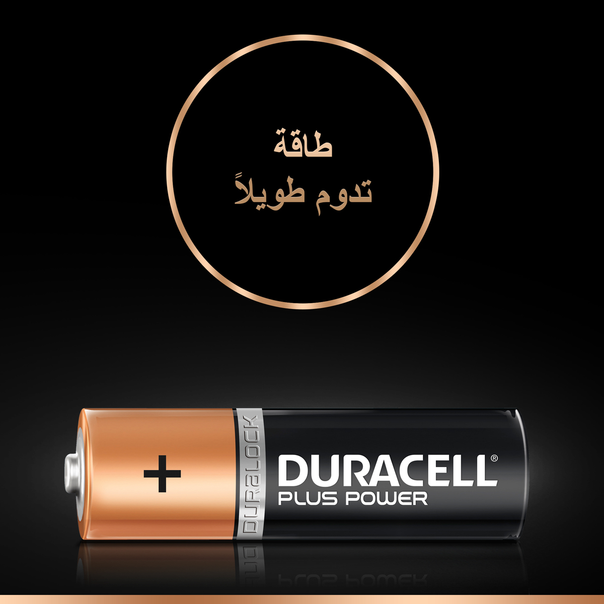 Duracell Plus Power Type AA Alkaline Batteries 4pcs