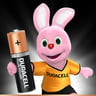 Duracell Plus Power Type AA Alkaline Batteries 20pcs