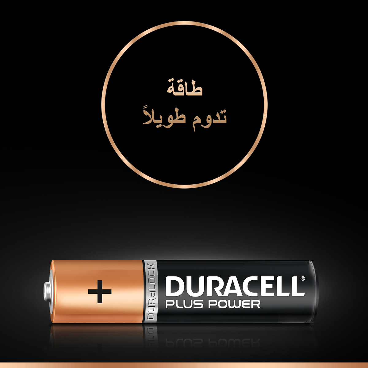 Duracell Plus Power Type AAA Alkaline Batteries 4pcs