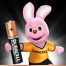 Duracell Plus Power Type AAA Alkaline Batteries 20pcs