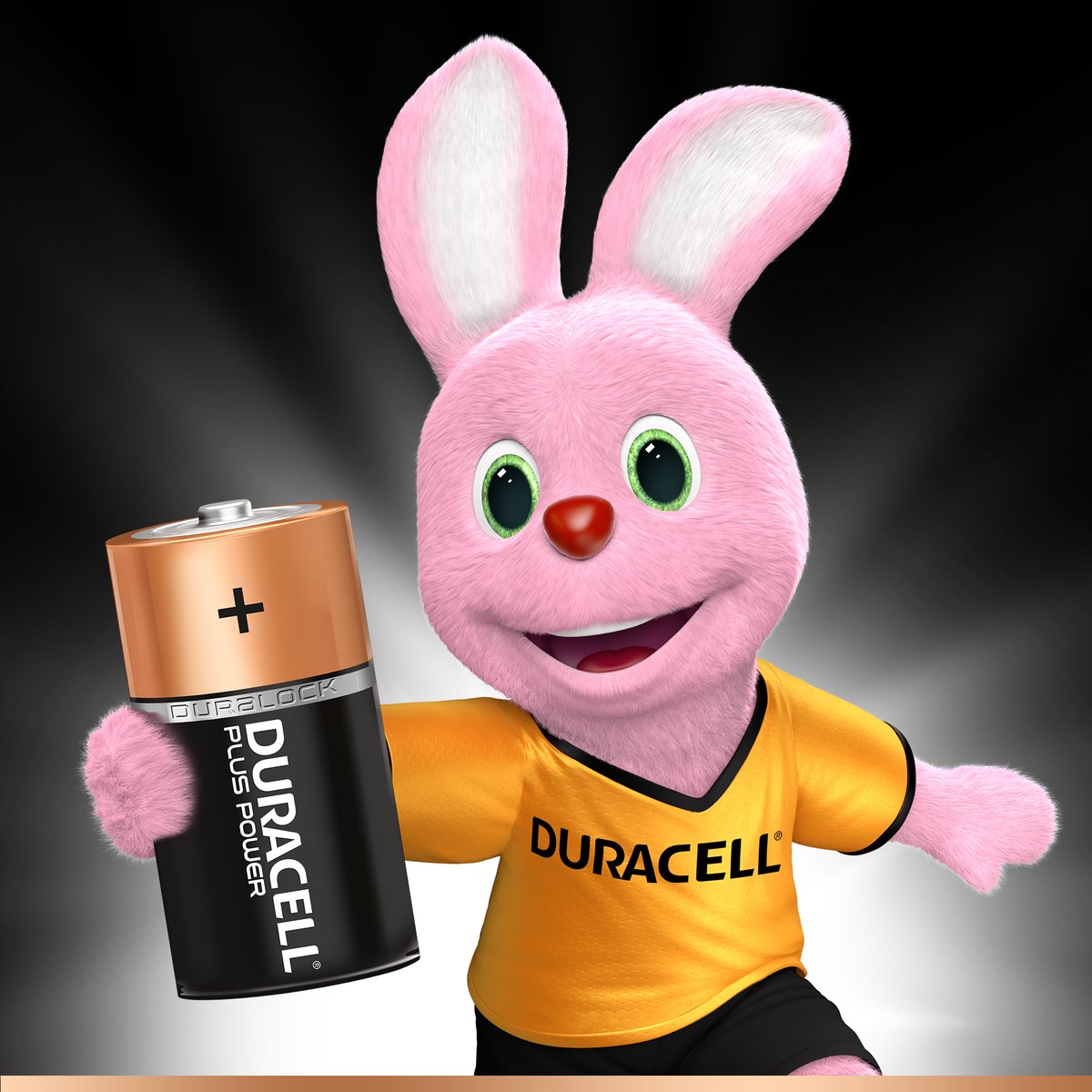 Duracell Plus Power Type C Alkaline Batteries 2pcs