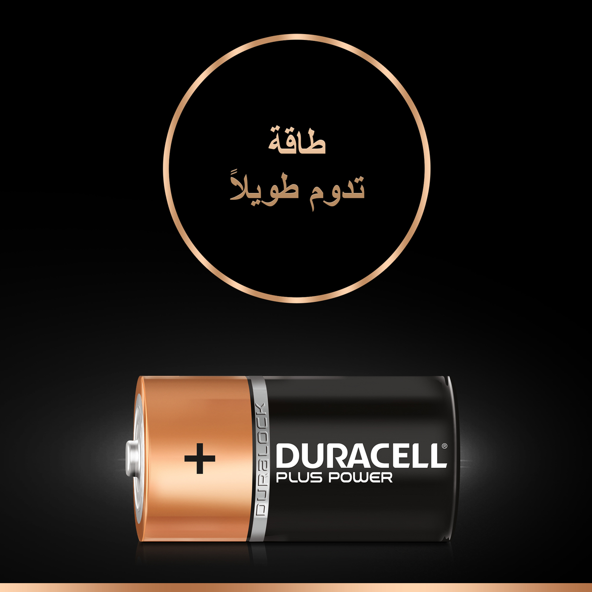 Duracell Plus Power Type C Alkaline Batteries 2pcs