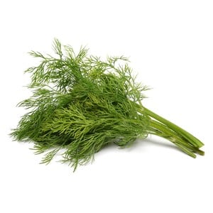 Dill leaves 1 Bunch