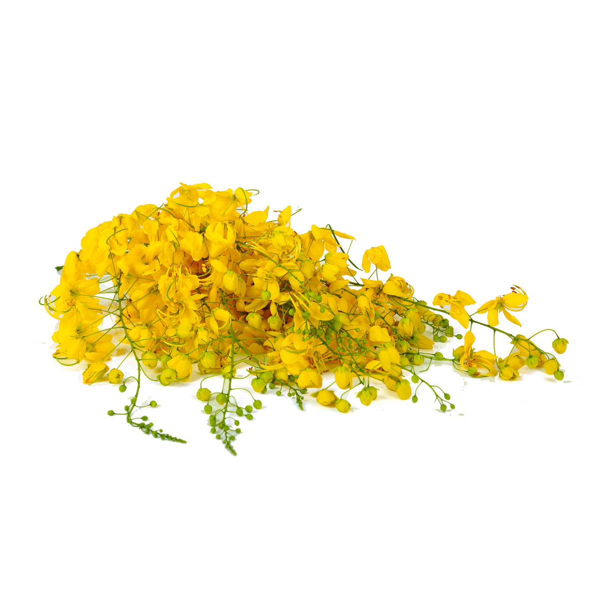 Yellow Flower (Kanikonna)1 pkt