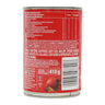 All Gold Indian Style Tomato Diced 410g