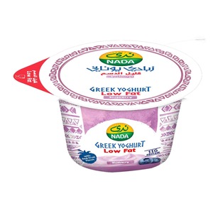 Buy Nada Greek Yoghurt Blueberry Low Fat 160 g Online at Best Price | Flavoured Yoghurt | Lulu Kuwait in UAE