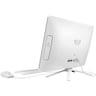 HP All-in-One Desktop 20-C047NE Celeron White