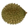 Durian Sri Lanka 1.25 kg