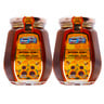 Golden Choice Natural Honey 2 x 500g