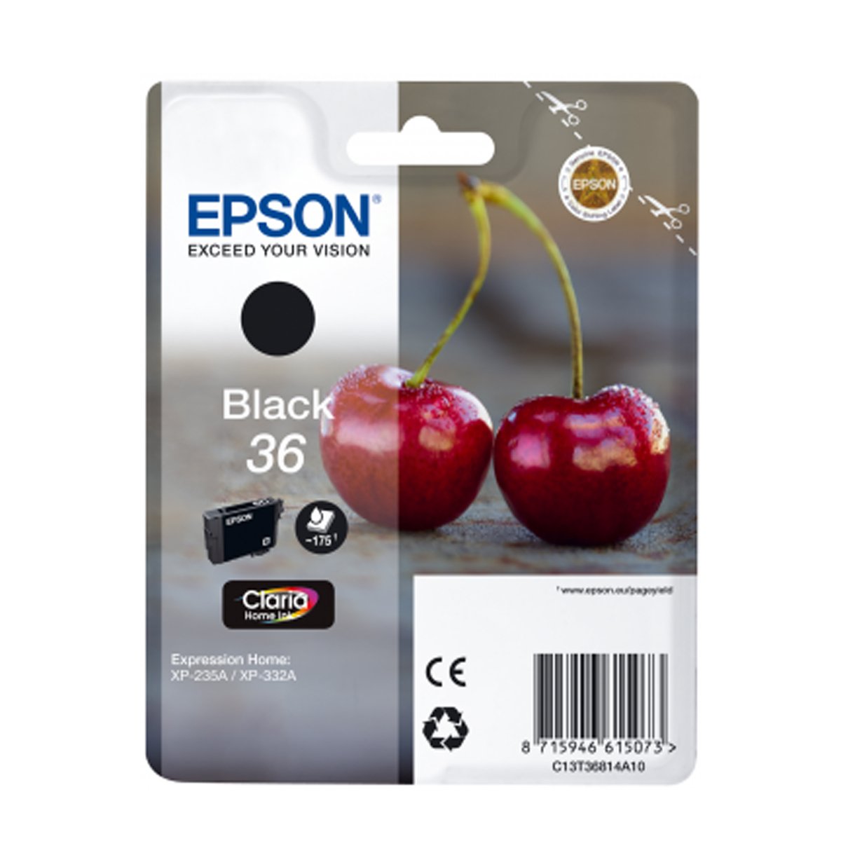 Epson Ink Cartridge 36 Black