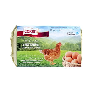 Coren Free Range Brown Eggs 6pcs