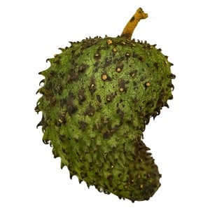 فاكهة القشطة الشائكة السريلانكية 1.5 كجم وزن تقريبي