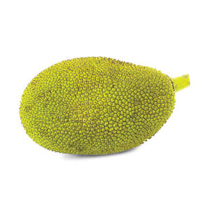 Tender Jackfruit Sri Lanka 1kg