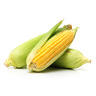 Sweet Corn Qatar 1 kg
