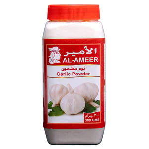 Al Ameer Garlic Powder 300g