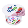 Fage Fruyo Classic Yoghurt Mixed Berries 170 g