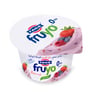 Fage Fruyo Classic Yoghurt Mixed Berries 170 g
