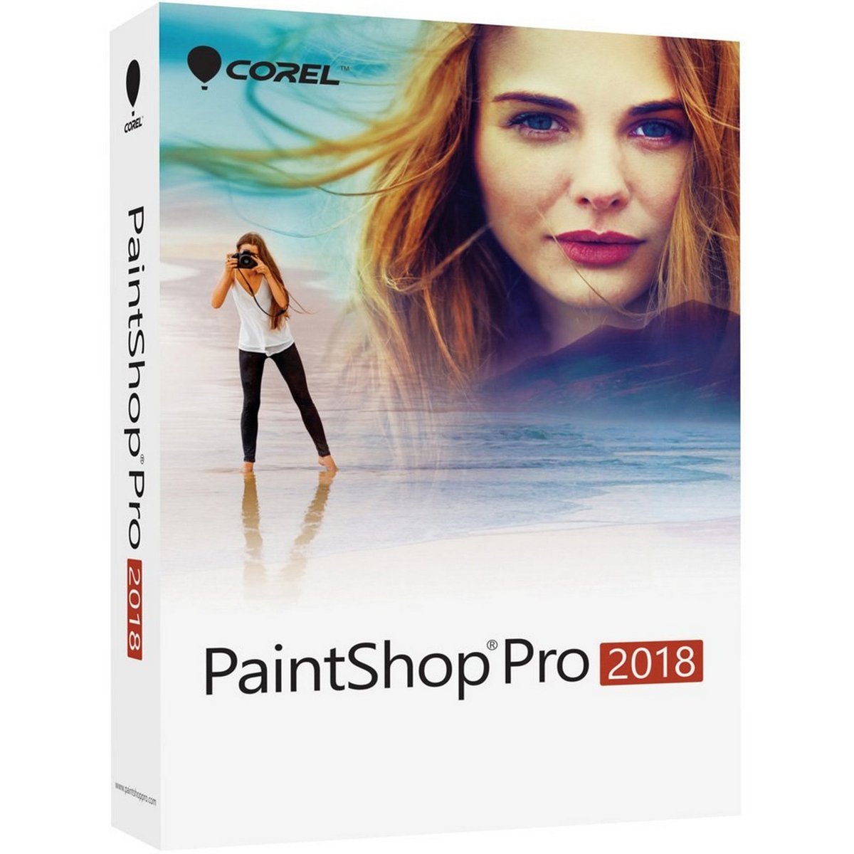Corel Paint Shop PRO 2018ML