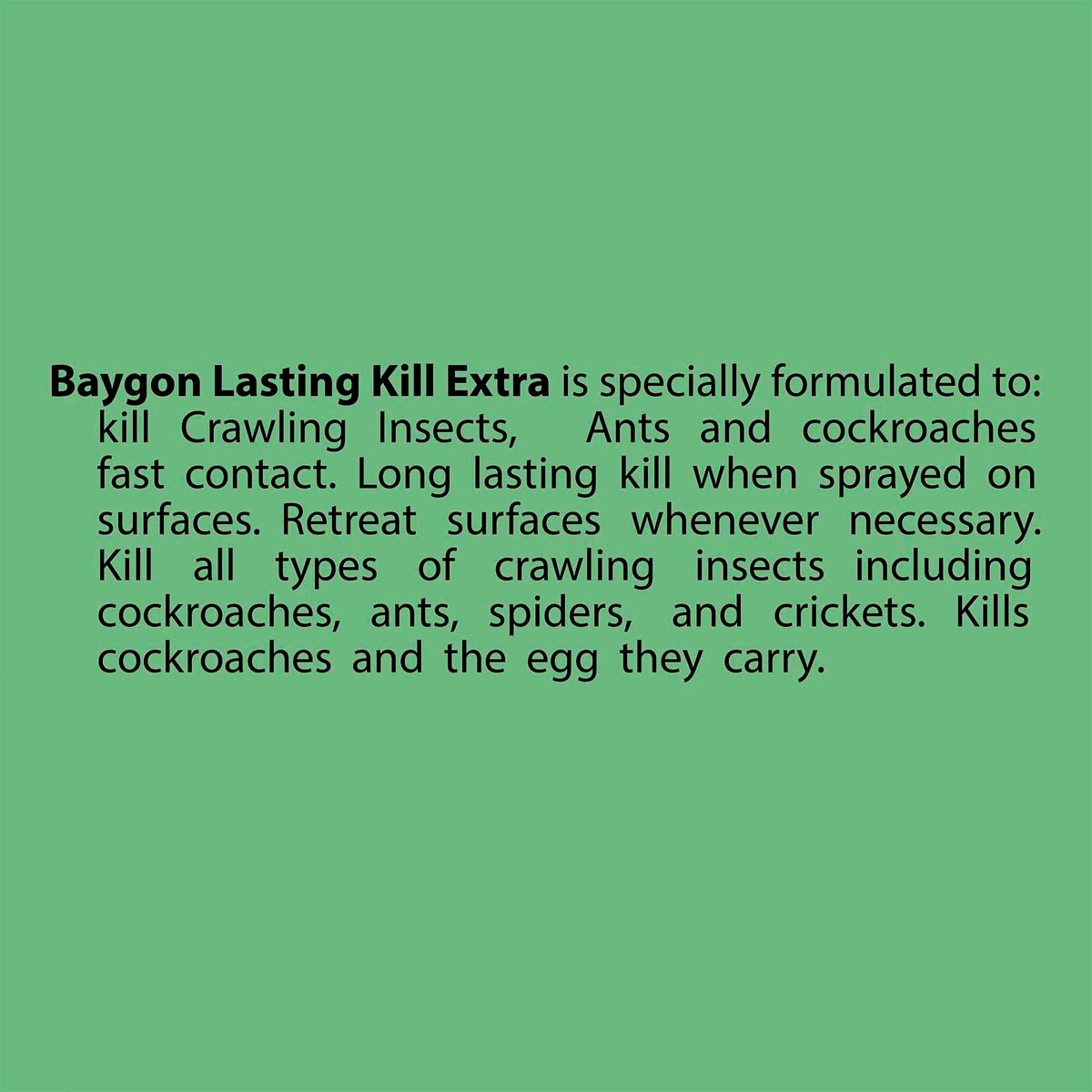 Baygon Crawling Insect Killer Lasting Kill 180ml