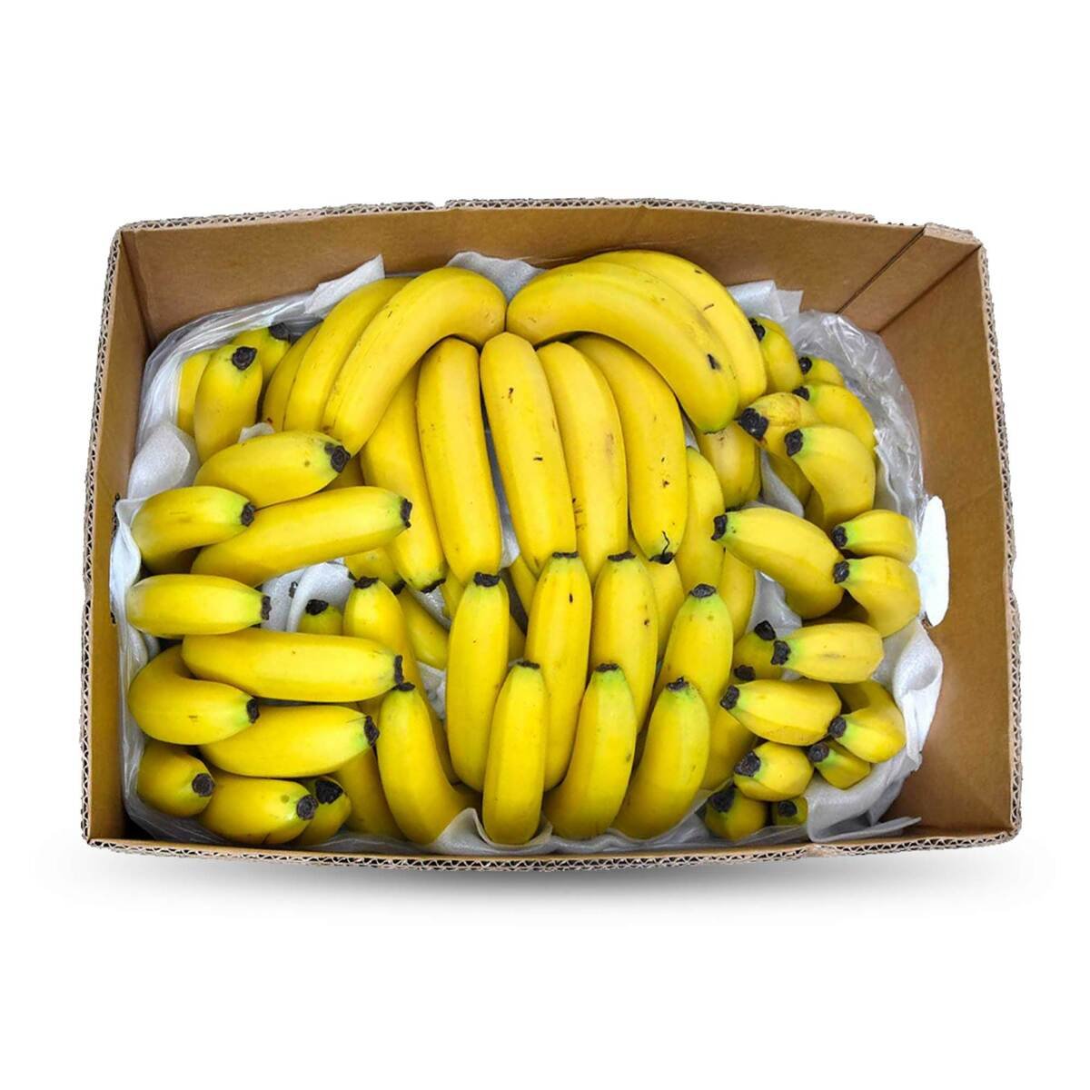 Banana Cavendish 1 Box