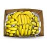 Banana Cavendish 1 Box