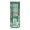 Perrier Watermelon Sparkling Natural Mineral Water 10 x 250 ml