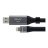 PNY Duo Link Sync & Charge Metal Gray for iPhone,iPad 64GB P-FDI64GLA02GC-RB