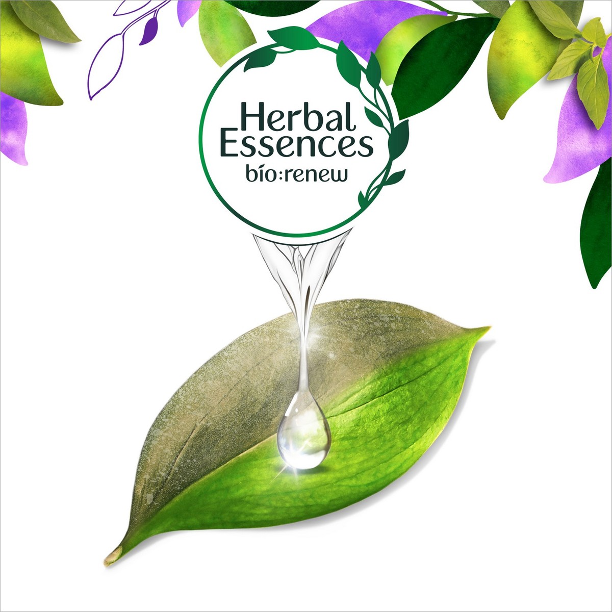 Herbal Essences Bio: Renew Cucumber & Green Tea Conditioner 400 ml