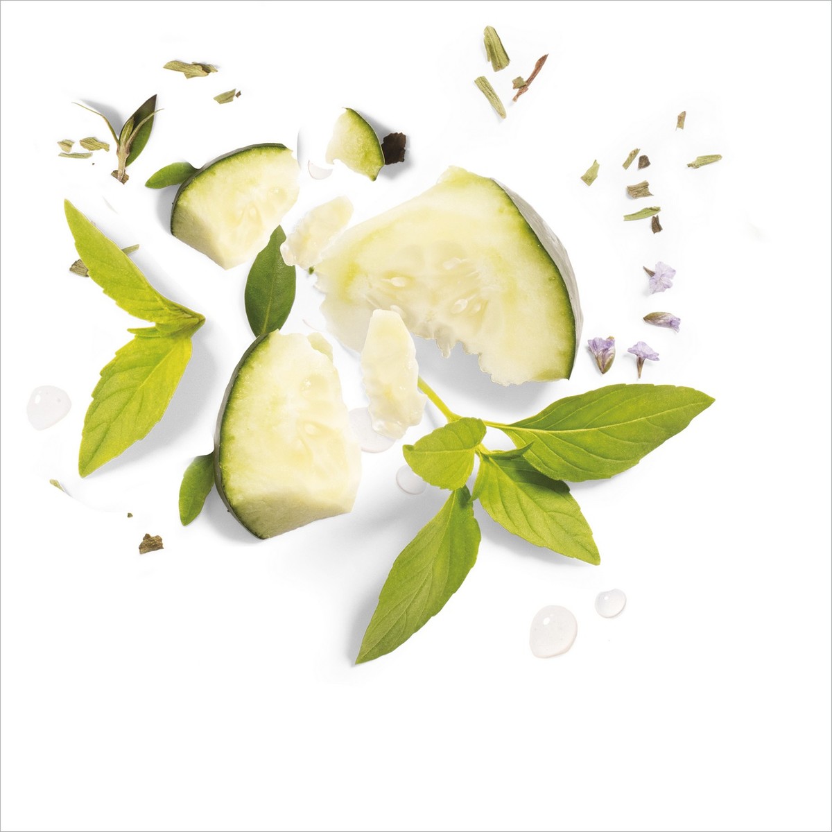 Herbal Essences Bio: Renew Shine Cucumber & Green Tea Shampoo 400 ml
