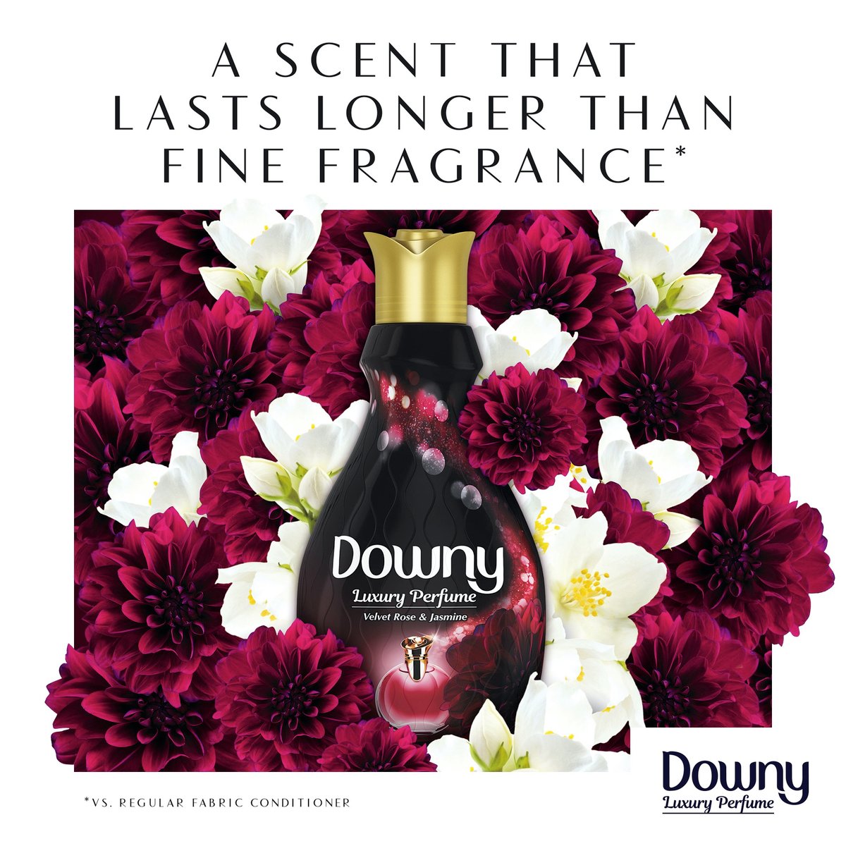 Downy Luxury Perfume Collection Concentrate Fabric Softener Velvet Rose & Jasmine Dual Pack 2 x 880ml 