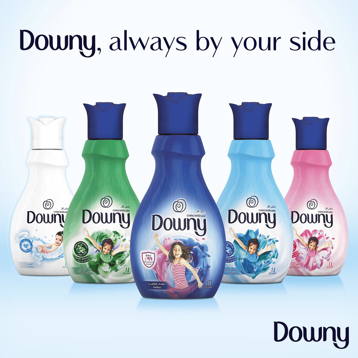 Downy Concentrate Fabric Softener Antibac 1Litre 2+1