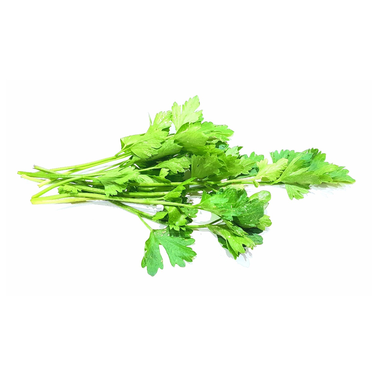 Celery Leaves 100g