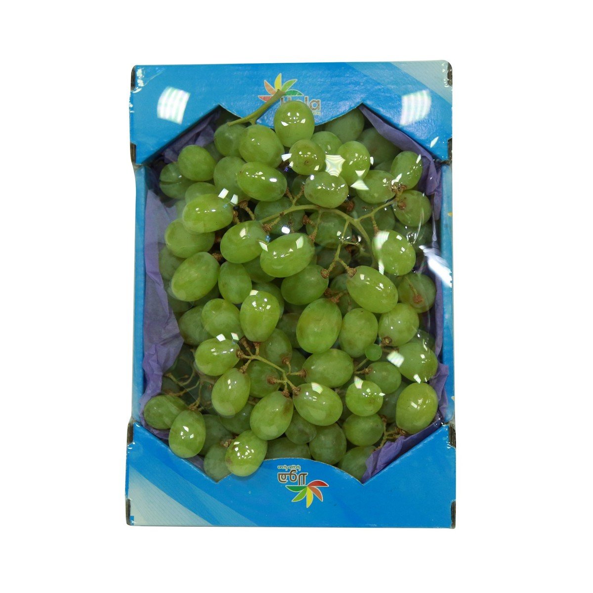 Fresh Grapes White 750g