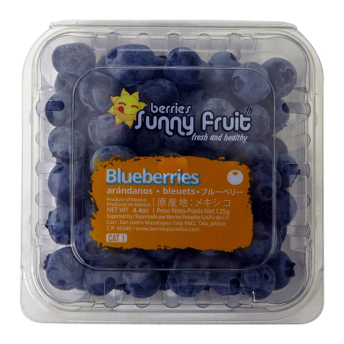 Blueberry Clamshell 125 g