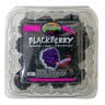 Blackberry Clamshell 125g
