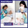 Cool & Cool Antibacterial Adult Wipes 40 pcs