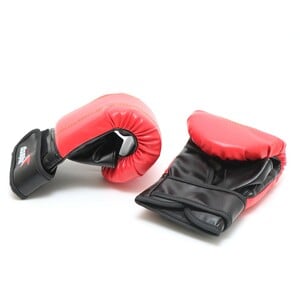 Sports Champion Boxing Gloves HJG2024 Assorted Color & Design