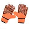 Sports Champion Goalkeeper Gloves 830 Assorted Color & Design