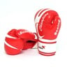 Sports Champion Children's Boxing Gloves HJG115 Assorted Color & Design