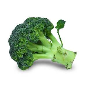 Broccoli 1pc