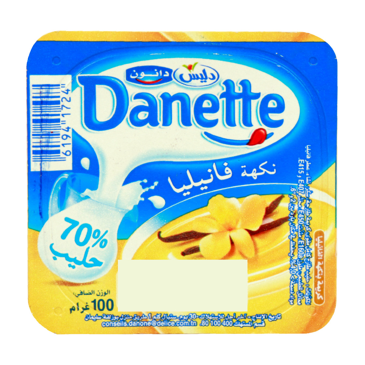 Delice Danette Vanilla 100g