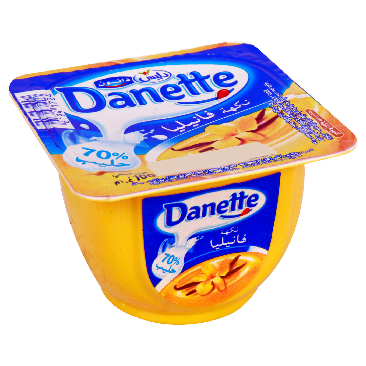 Delice Danette Vanilla 100g