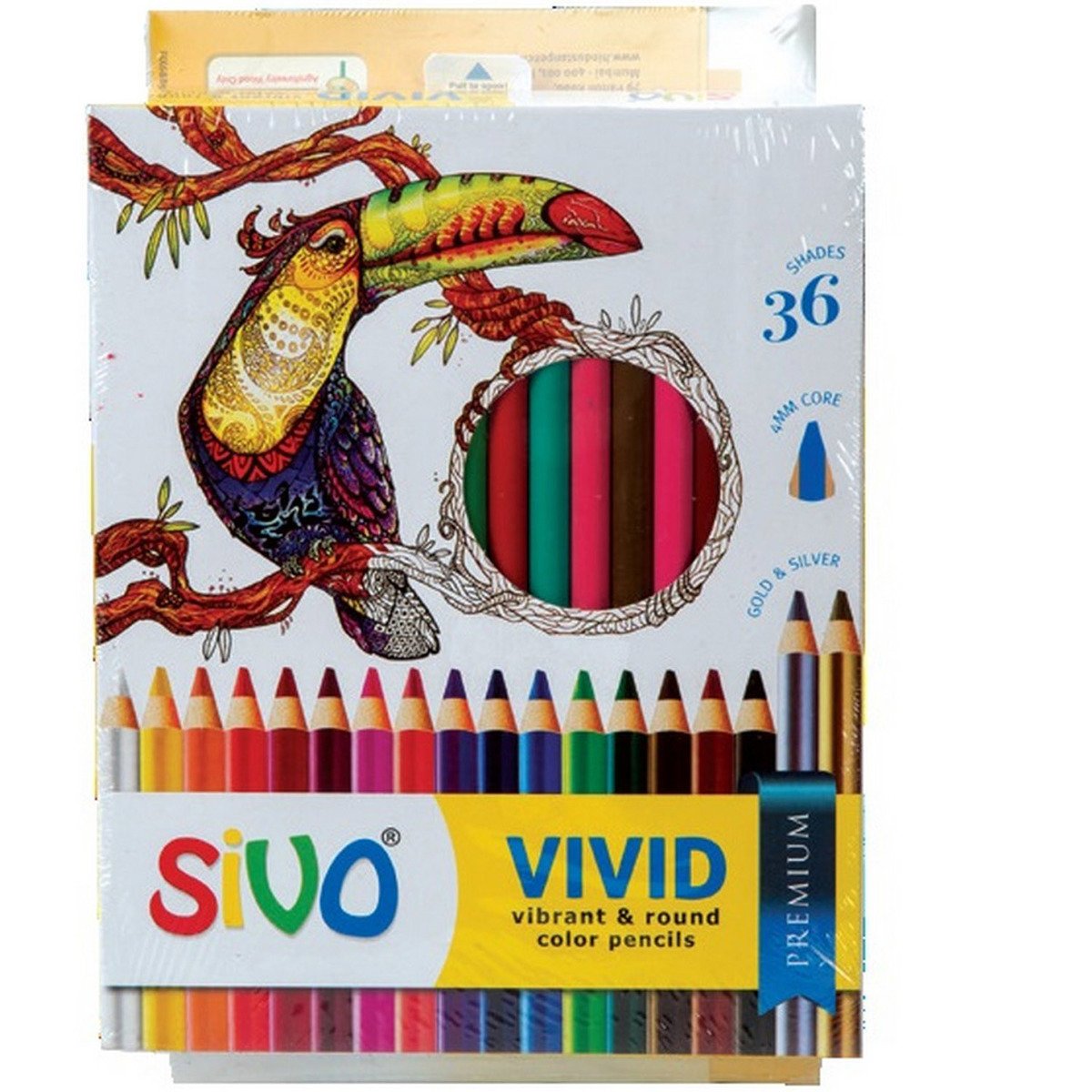 Sivo Vivid Color Pencil 36's